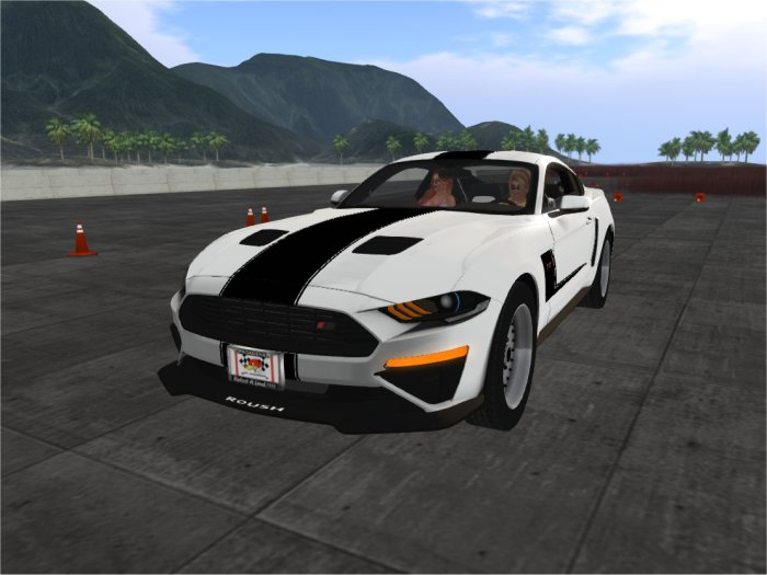 2019 Roush Stang {White/Black}