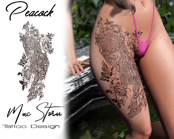 Peacock Right Thigh