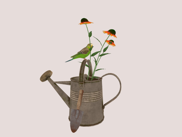 Cute parakeet Animated