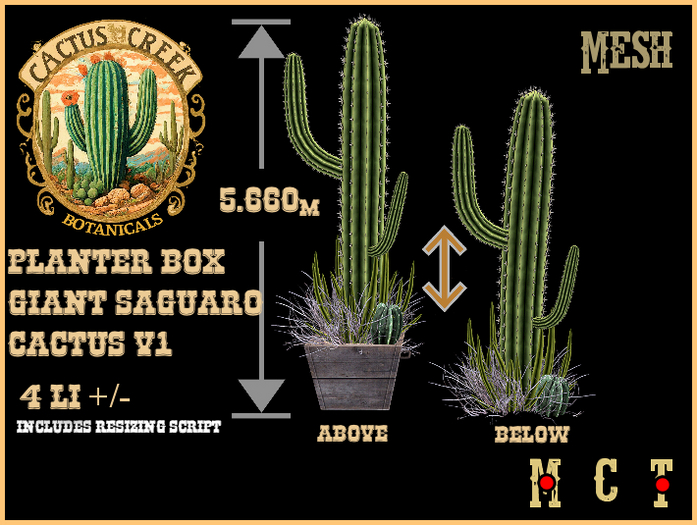 Planter Box Giant Saguaro Cactus v1