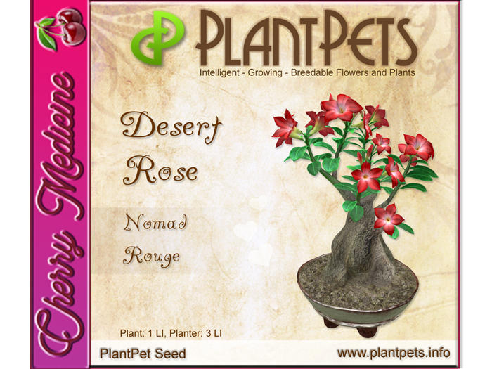 PlantPet Seed [Desert Rose *Nomad Rouge*]