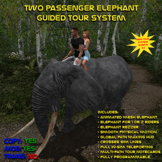 Elephant Ride Guided Tour