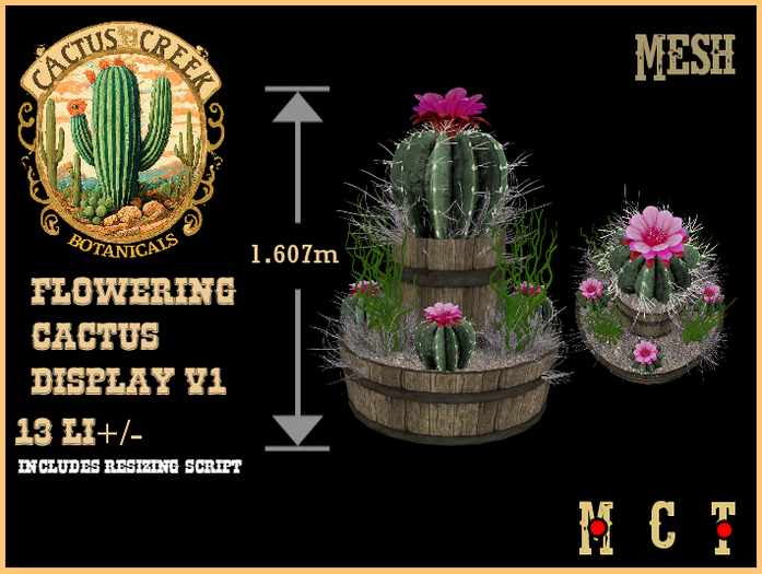 Flowering Cactus Display v1