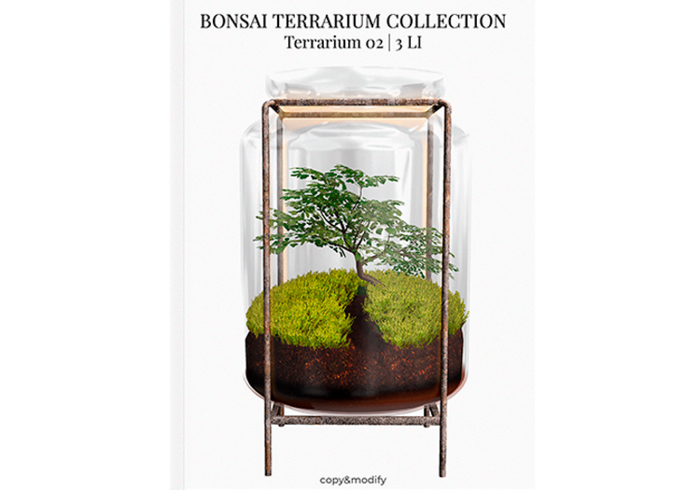 MINIMAL - Bonsai Terrarium 2