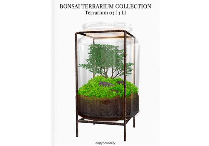 MINIMAL - Bonsai Terrarium 3