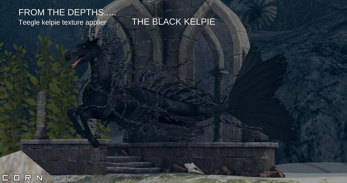 C O R N - THE BLACK KELPIE