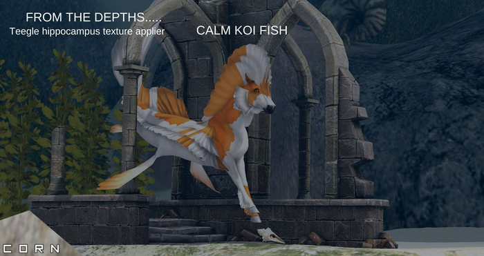 C O R N - KOI HIPPOCAMPUS