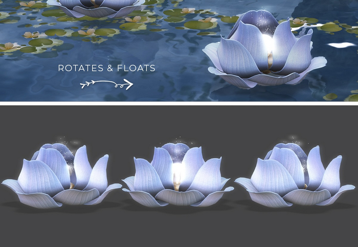Dahlia - Lotus Lantern - Powder