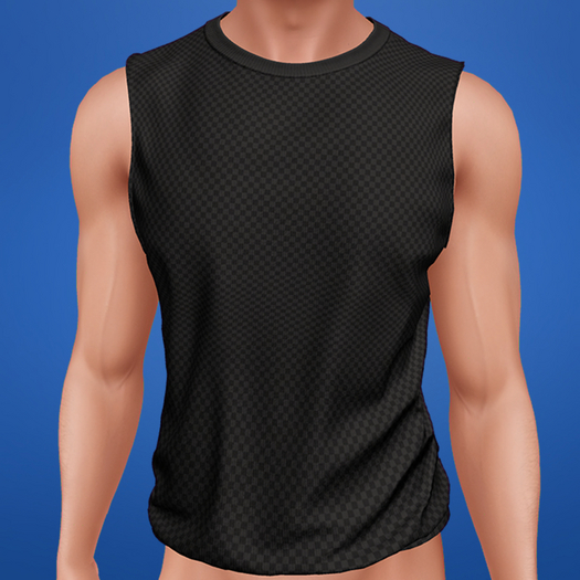 TYLIE // Kai Muscle Tee // CHECKER