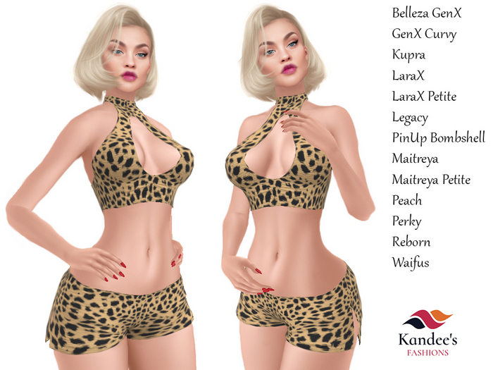 Leopard Skin Top & Shorts Outfit