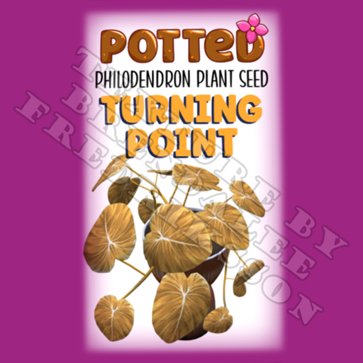 Potted: Philodendron Plant Seed: Turning Point (ACTUAL PLANT SEED) - Retired!