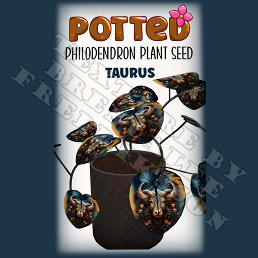Potted: Philodendron Plant Seed: Taurus (ACTUAL PLANT SEED)