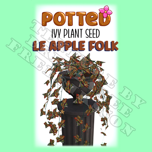Potted: Starter Ivy Plant Seed: LE Apple Folk (ACTUAL PLANT SEED)