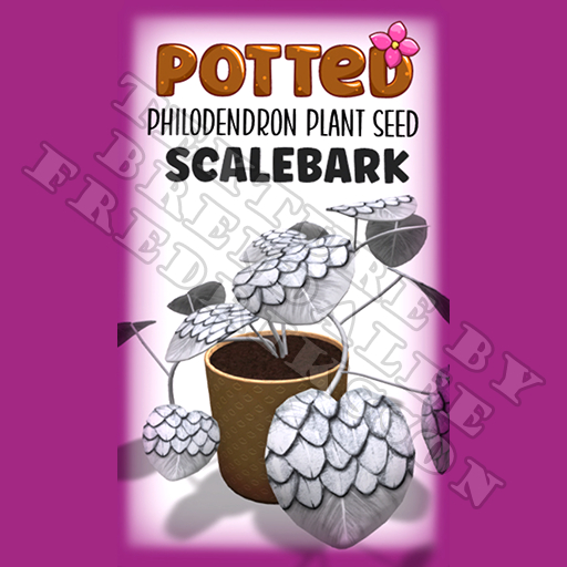 Potted: Philodendron Plant Seed: Scalebark (ACTUAL PLANT SEED)