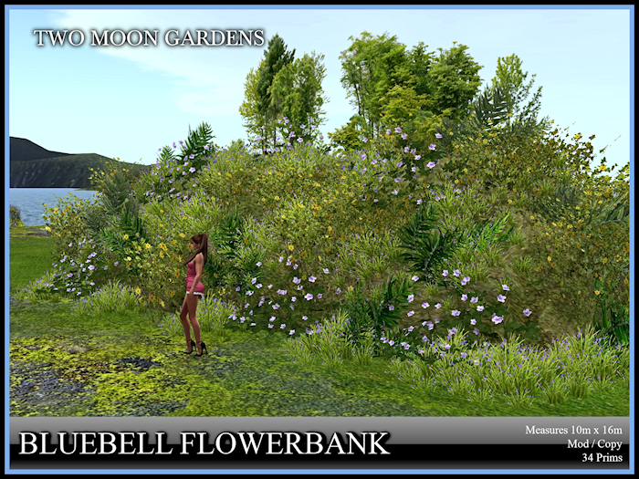 Garden|BluebellFlowerbank
