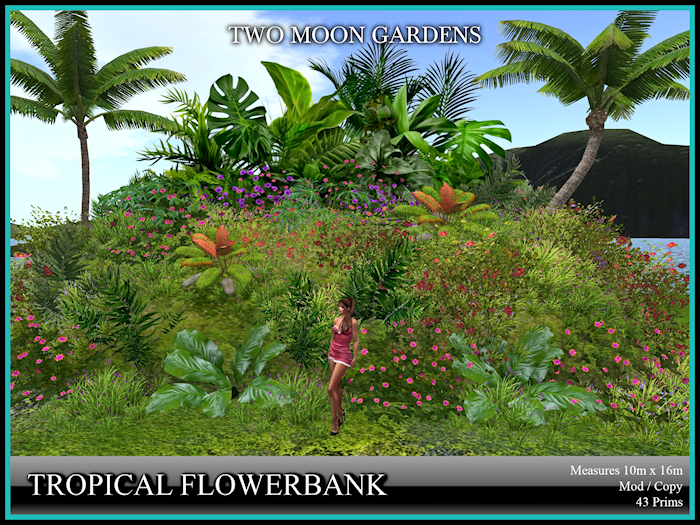 Garden|TropicalFlowerbank 