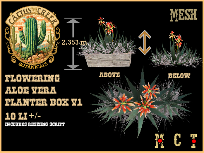 Flowering Aloe Vera Planter Box v1 