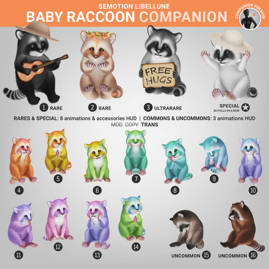 SEmotion Libellune Baby Raccoon Companion COMMON 10