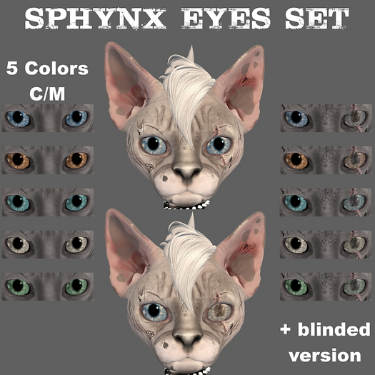 Sphynx Eyes