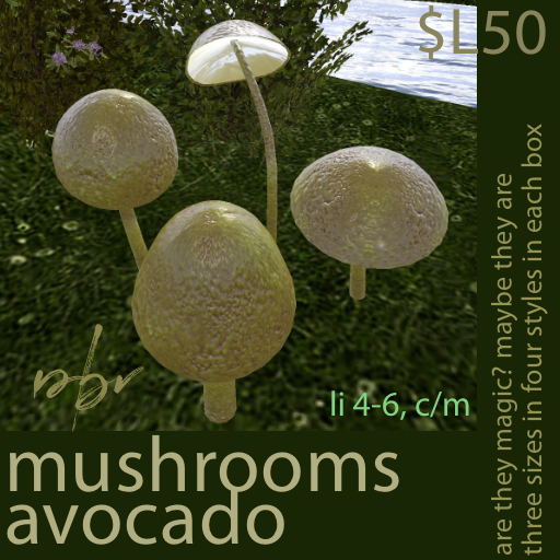 mushrooms - avocado pbr