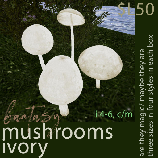 mushrooms - ivory fantasy