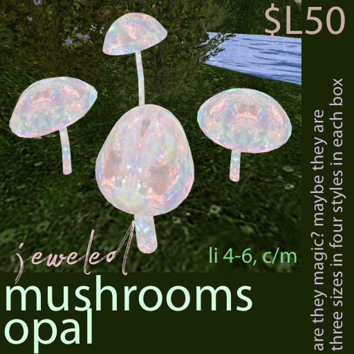 mushrooms - opal jeweled