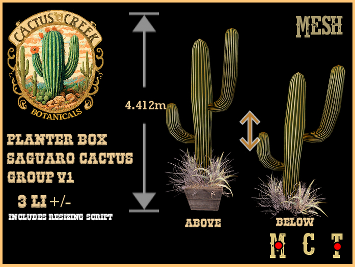 Planter Box Saguaro Cactus Group v1