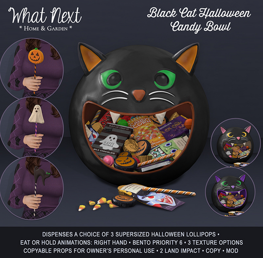 {wn} Black Cat Candy Bowl (boxed)