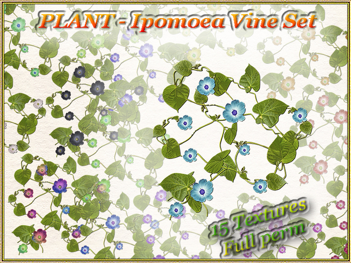 PLANT - Ipomoea Vine Set (15 Textures) (Full perm)