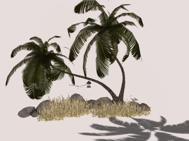Palm Trees with Seagull's
