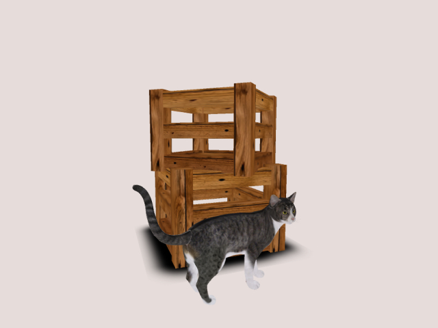 Crates With Cat