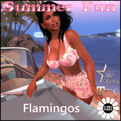 GoodVibes Summer Fun Flamingo