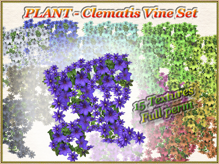PLANT - Clematis Vine Set (15 Textures) (Full perm)