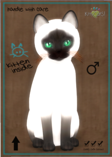 KittyCatS Box - Siamese - Chocolate