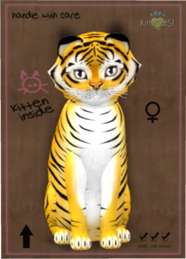 KittyCatS Box - Tiger! - Golden Ticket