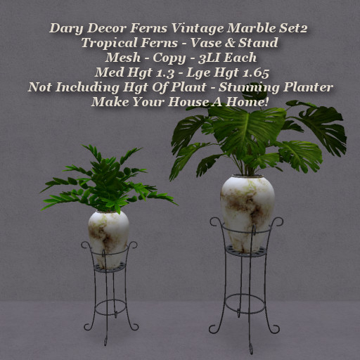 Dary Decor Ferns2