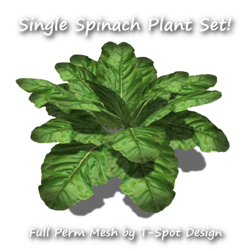 T-Spot Mesh - Single Spinach Set - FP - LI=0.5