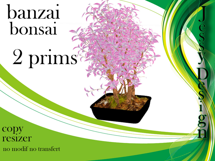 --vendor--banzai rose