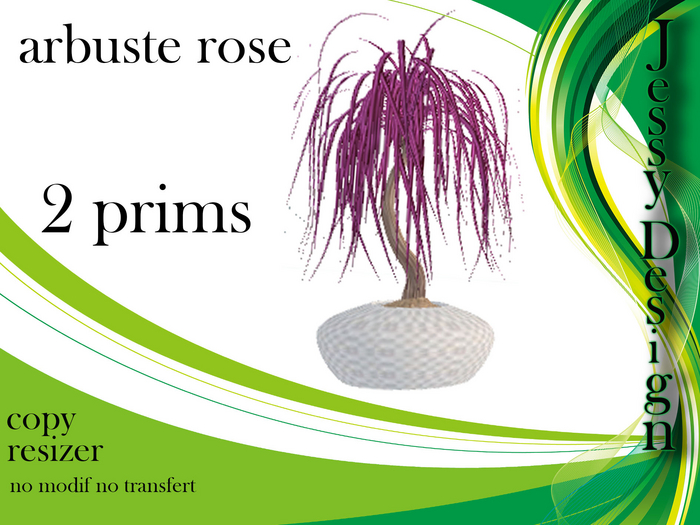 --vendor--arbuste rose