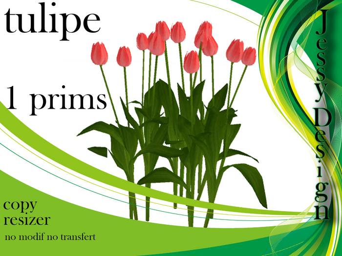 --vendor--tulipe rouge