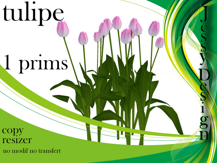 --vendor--tulipe rose blanc