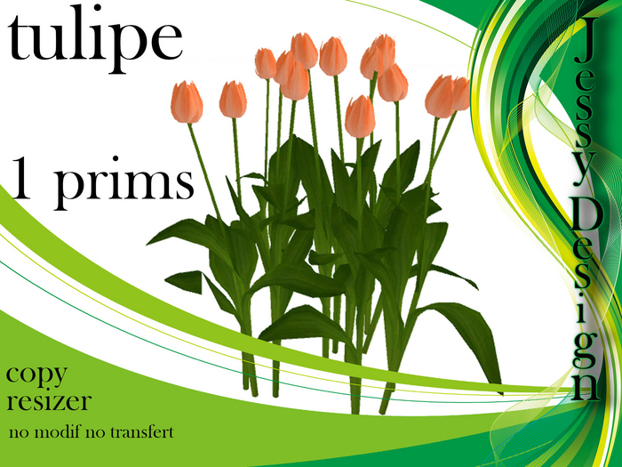 --vendor--tulipe orange