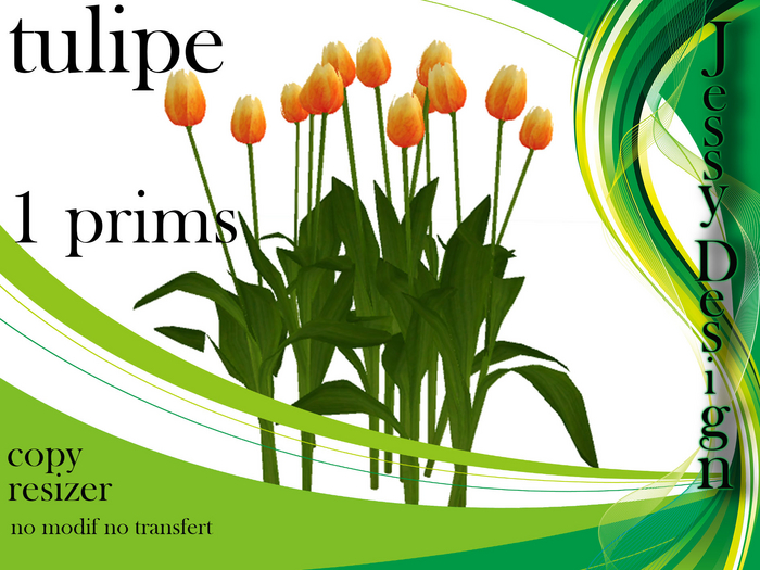 --vendor--tulipe feu