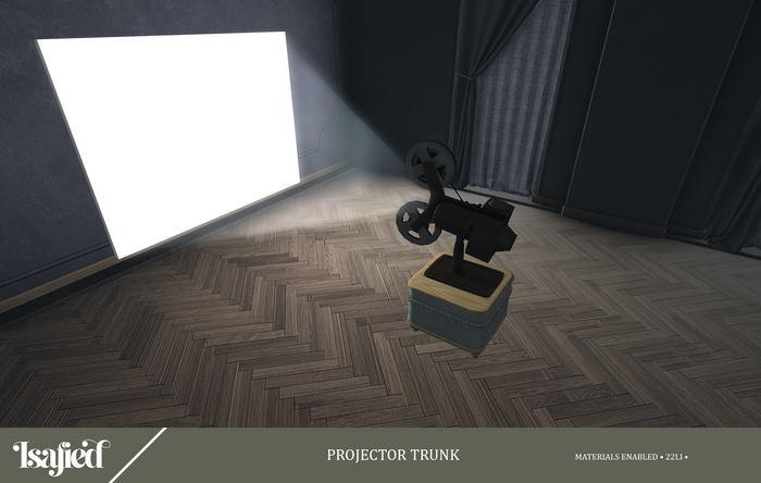{Isafied} Packaged Projector Trunk.