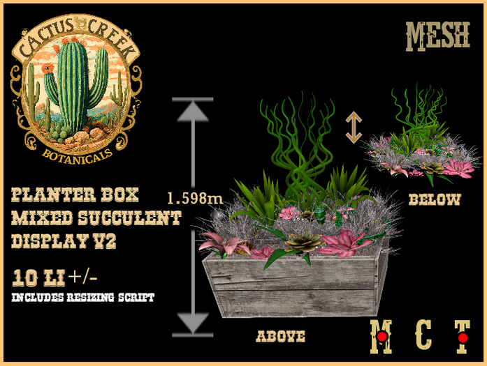 Planter Box Mixed Succulent Display v2