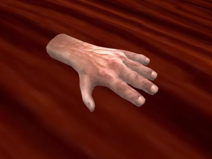 TM Cut-Off Hand - FP - Full Permissions - Amputated