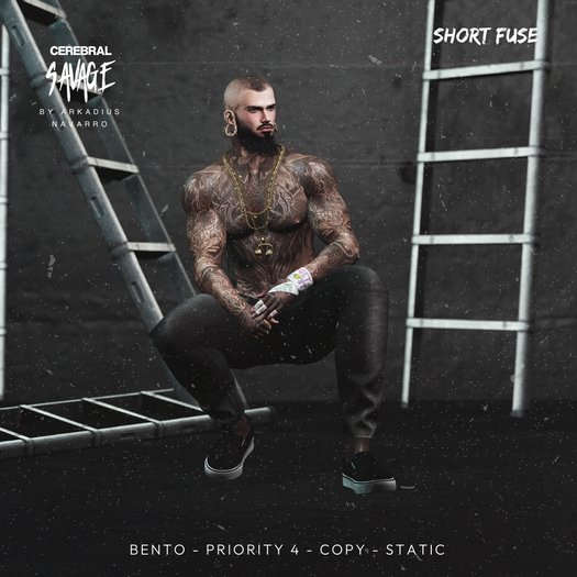 [CS] SHORT FUSE - Pose