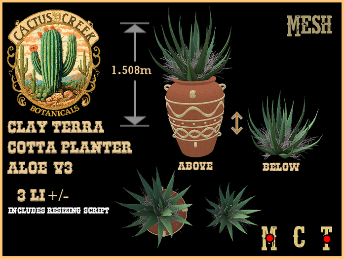 Clay Terra Cotta Planter Aloe v3