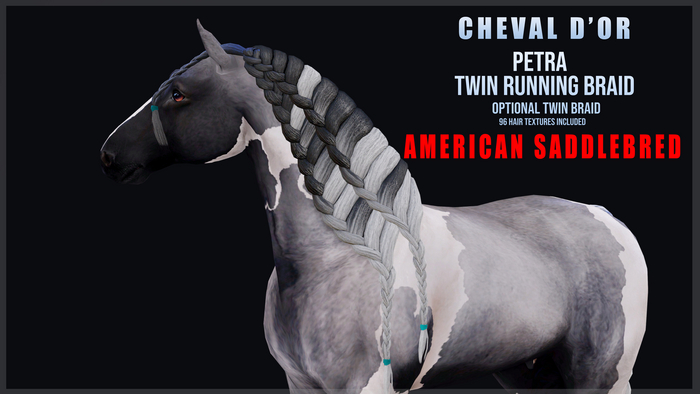 Cheval D'or / Teeglepet American Saddlebred / Petra Twin Braids.[HUD]