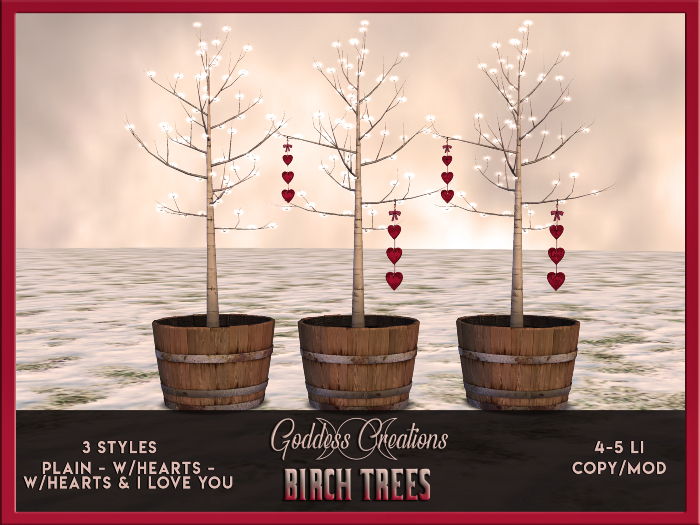 )O( GC: Birch Trees 